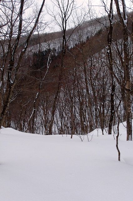 e0137200_16323482.jpg