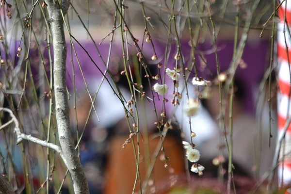 a0240403_14135087.jpg