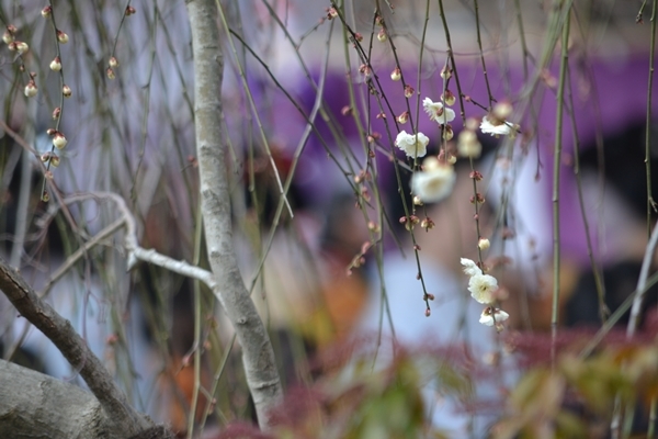 a0240403_14140383.jpg