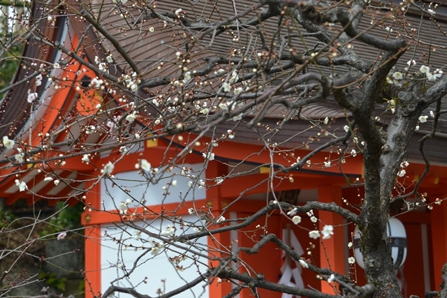 a0240403_14144383.jpg