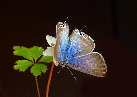 a0117305_23213999.jpg