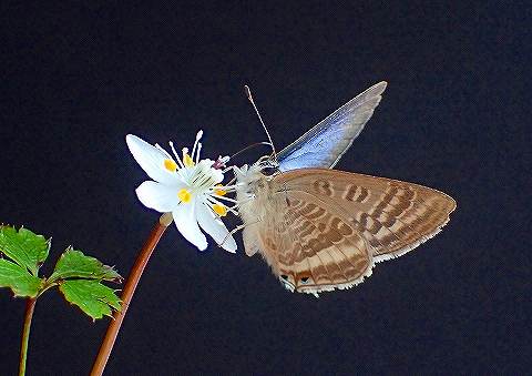 a0117305_2321498.jpg