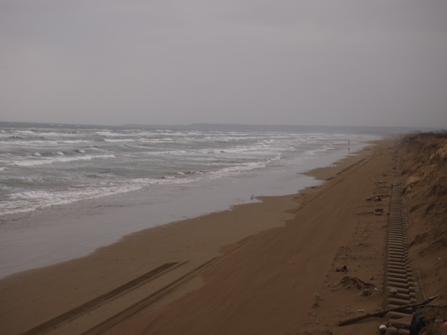a0185007_16275900.jpg