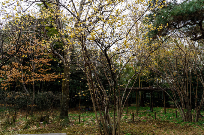 f0302208_17272949.jpg