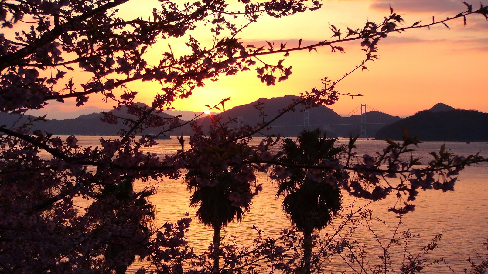 f0231709_0373652.jpg