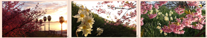 f0231709_043291.png