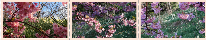 f0231709_0455138.png