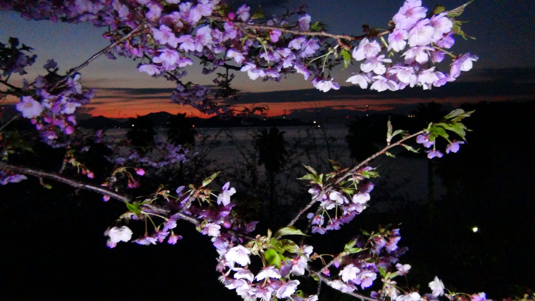 f0231709_093262.jpg