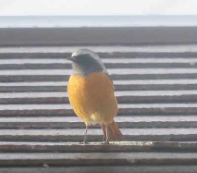 b0344816_22132961.jpg