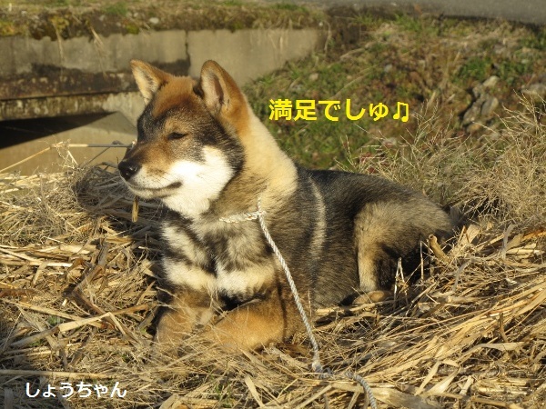 f0143123_14020053.jpg