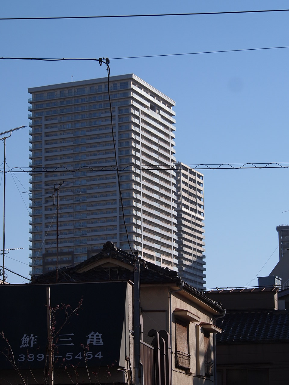 a0214329_22409.jpg