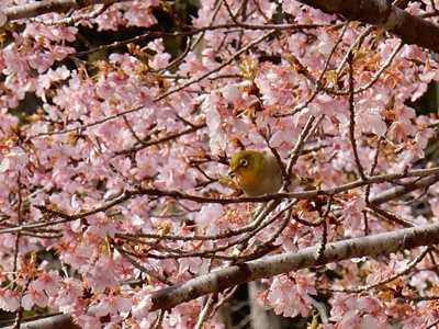 e0033229_17291422.jpg