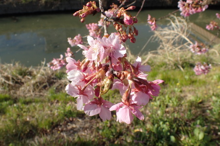 c0353632_21542362.jpg