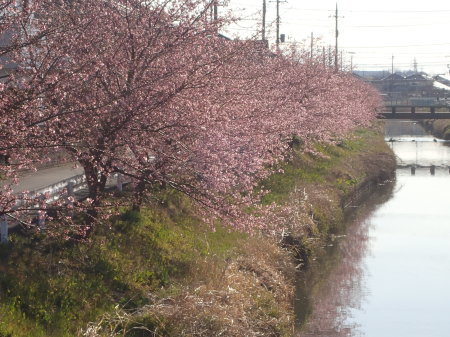 c0353632_21545660.jpg