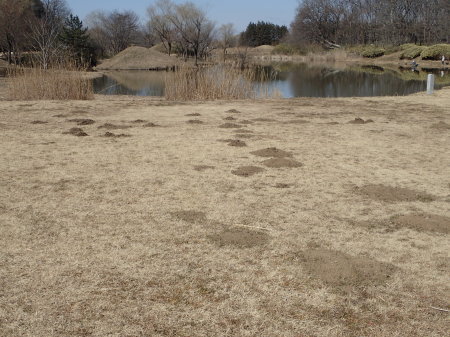 c0353632_22022516.jpg