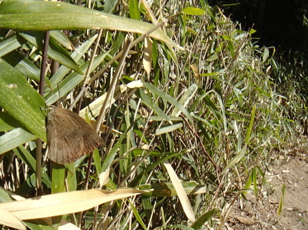 c0353632_22152486.jpg