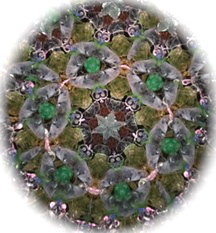 a0155838_17534056.jpg