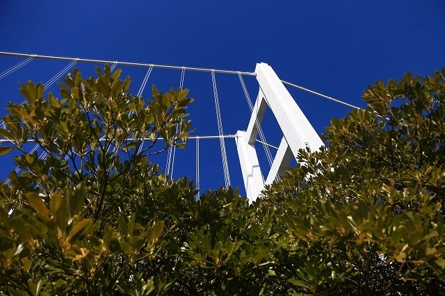 a0242438_19172279.jpg