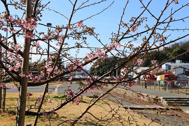 a0242438_19181463.jpg