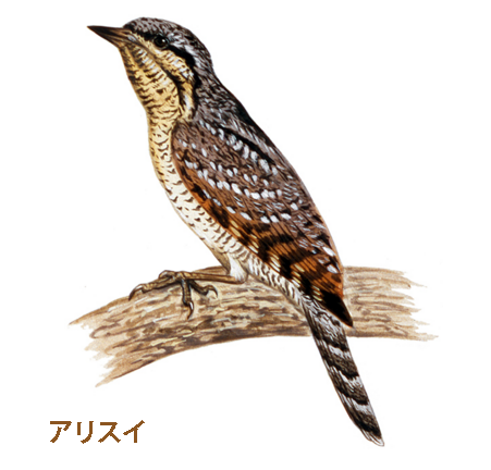a0100742_10173698.png