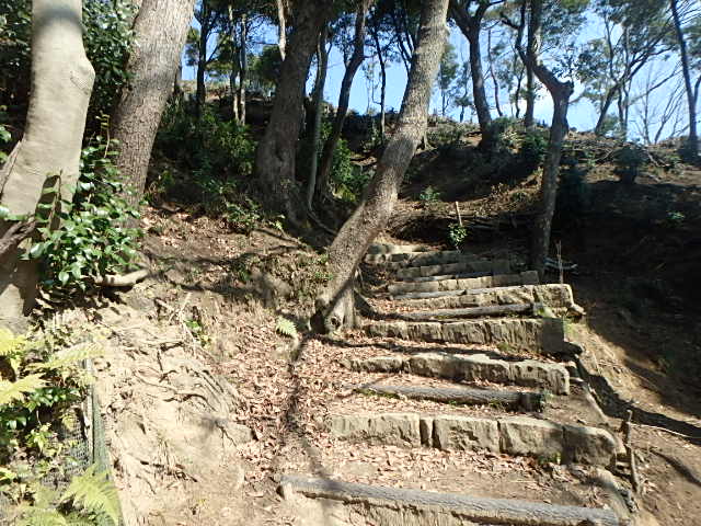 f0334143_19444812.jpg