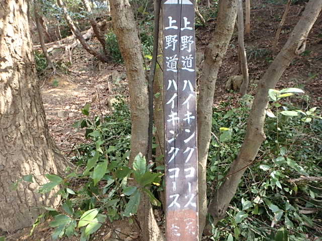 f0334143_19451455.jpg