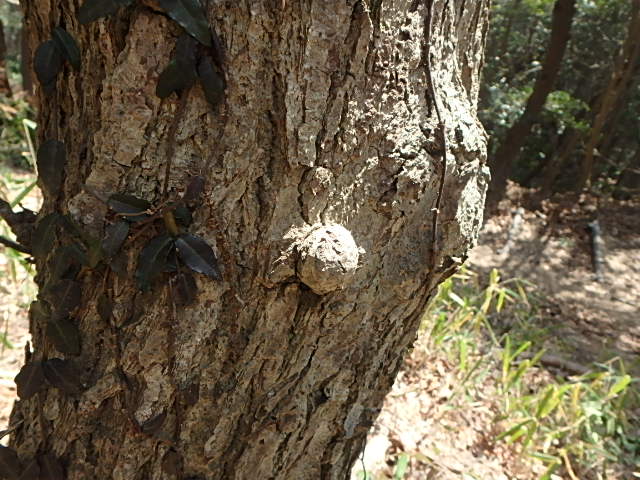 f0334143_1947438.jpg