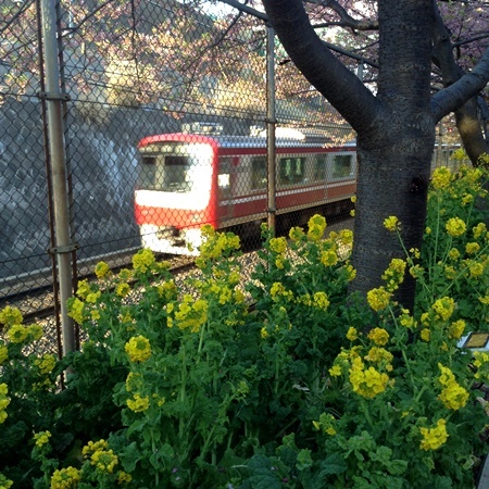 a0167750_20245960.jpeg