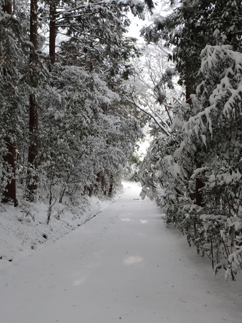 e0017051_22302897.jpg