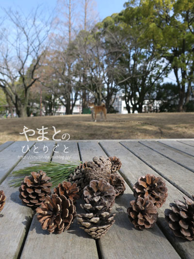 a0286855_06470881.jpg