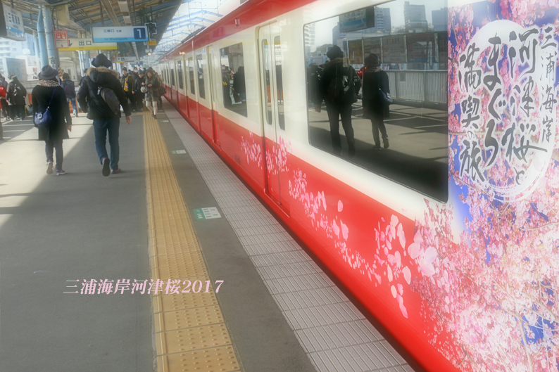 d0251161_16134700.jpg