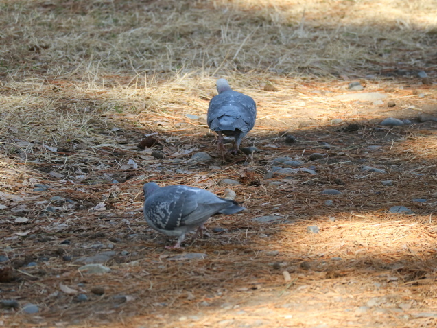 f0345263_19123540.jpg