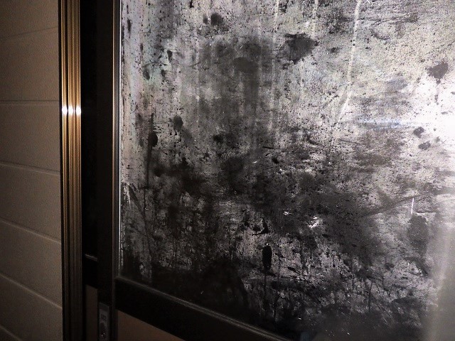 c0105569_228437.jpg