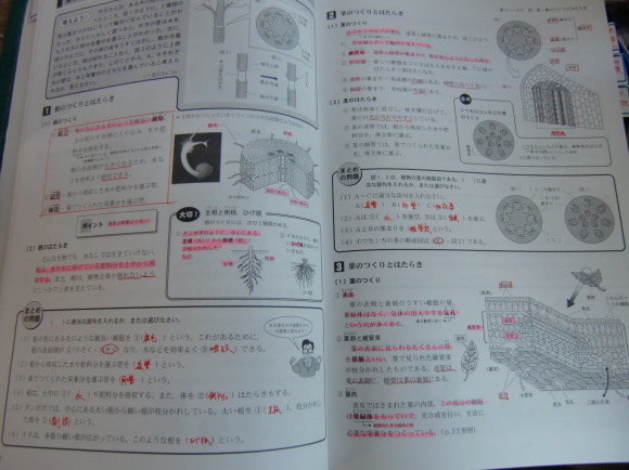 a0344573_08140234.jpg