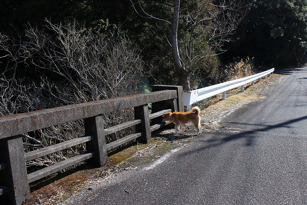 b0088173_20015957.jpg