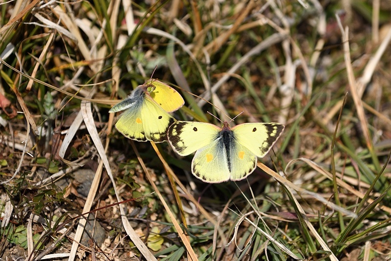 f0031682_10391141.jpg