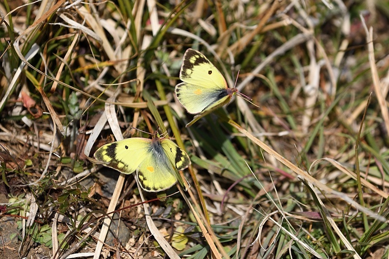 f0031682_10391158.jpg