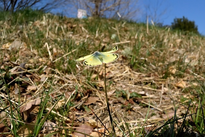 f0031682_10391212.jpg