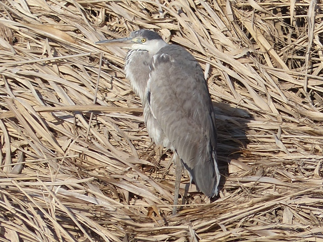 f0357487_21243187.jpg