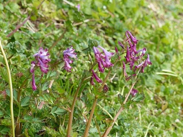 f0357487_21405825.jpg
