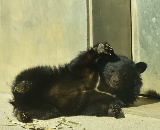 d0090801_20313645.jpg