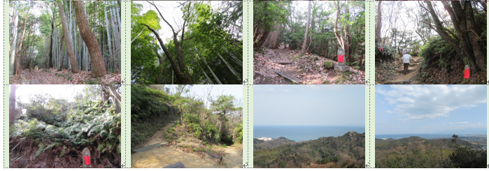 f0231709_17374024.png