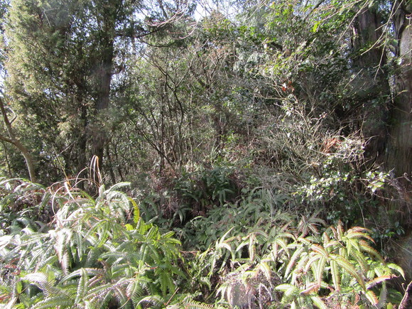 f0231709_17522773.jpg
