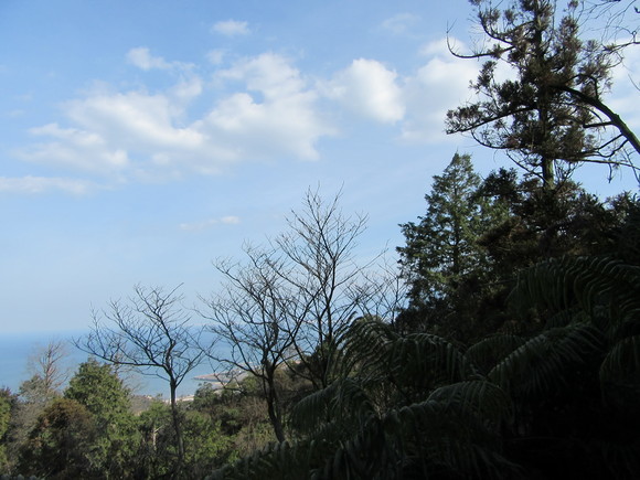 f0231709_17531775.jpg