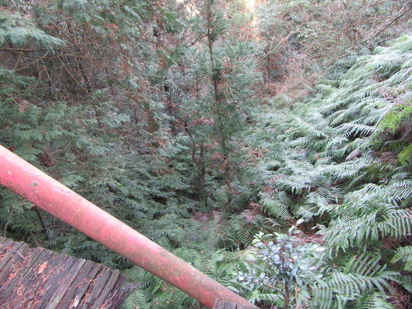 f0231709_1754239.jpg