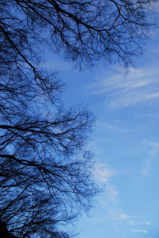b0223512_23165734.jpg