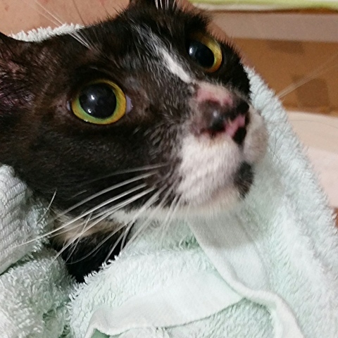 e0144012_17041924.jpeg