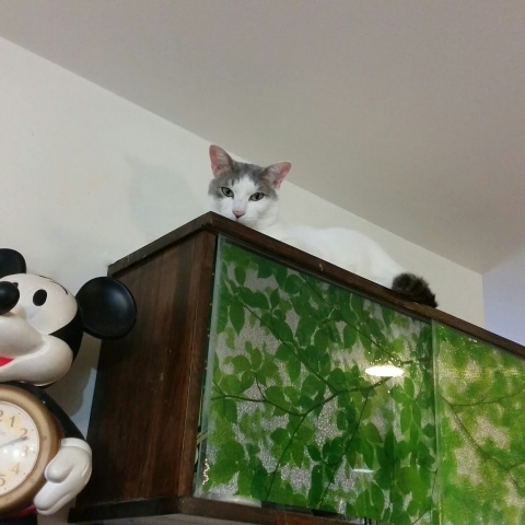 e0144012_19224789.jpeg