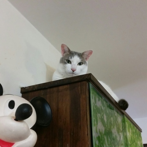 e0144012_19233263.jpeg