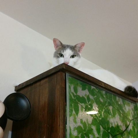 e0144012_19244266.jpeg